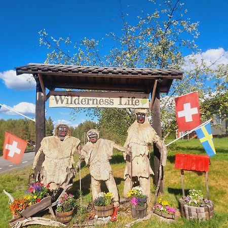 Elch Zimmer Wilderness Life Arvidsjaur Esterno foto