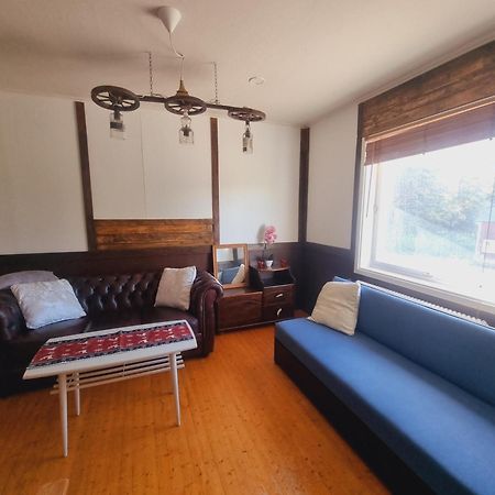 Elch Zimmer Wilderness Life Arvidsjaur Esterno foto
