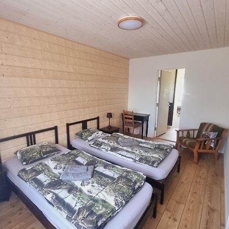 Elch Zimmer Wilderness Life Arvidsjaur Esterno foto