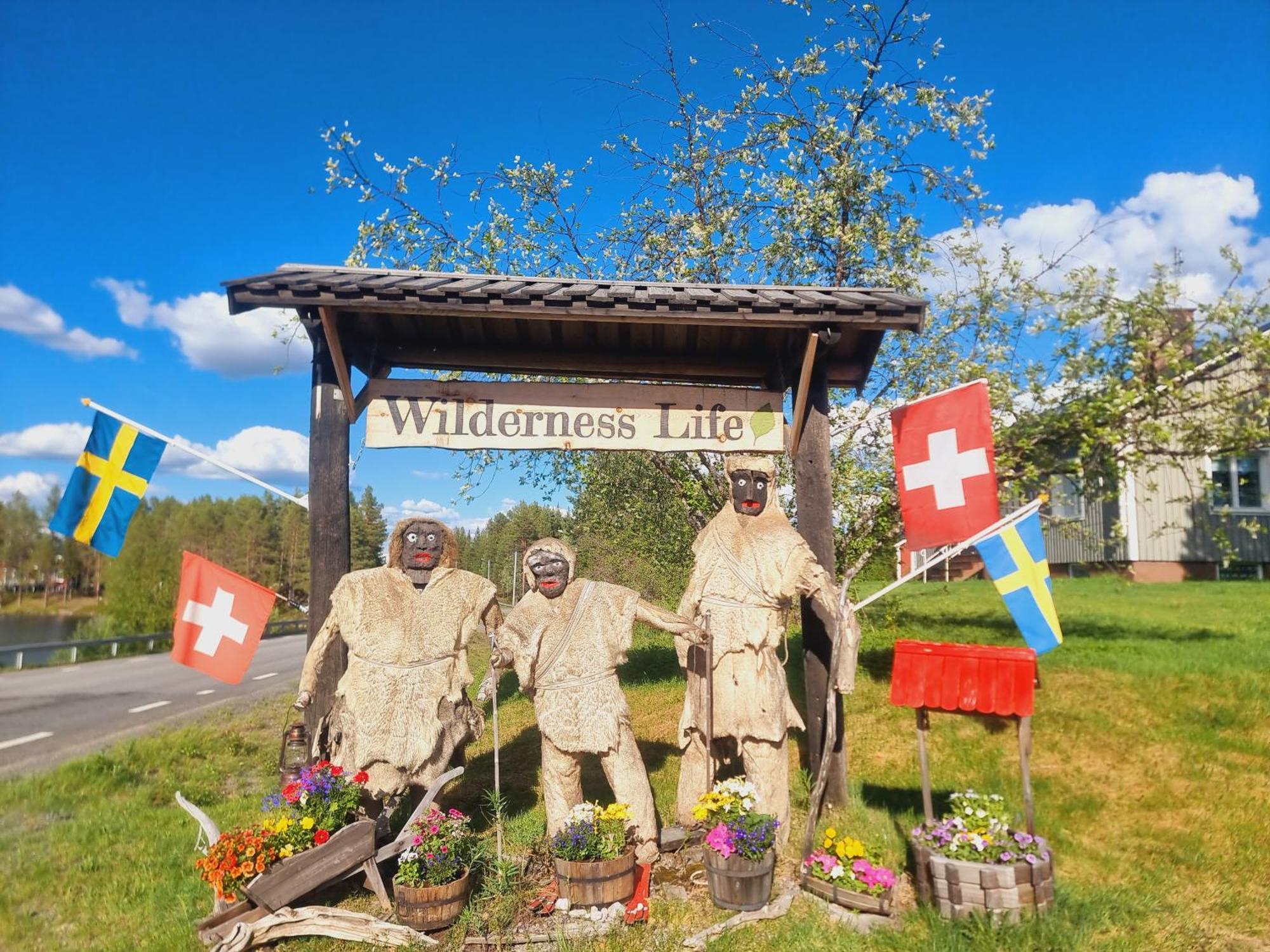 Elch Zimmer Wilderness Life Arvidsjaur Esterno foto
